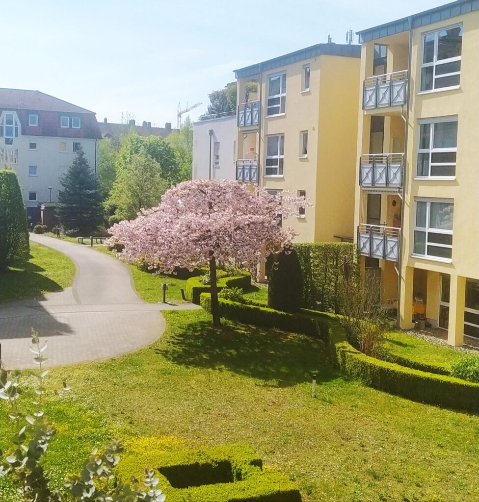 Hof Residenz-BrentanoPark e.V.