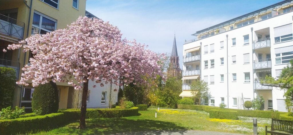 Seniorenresidenz in Aschaffenburg